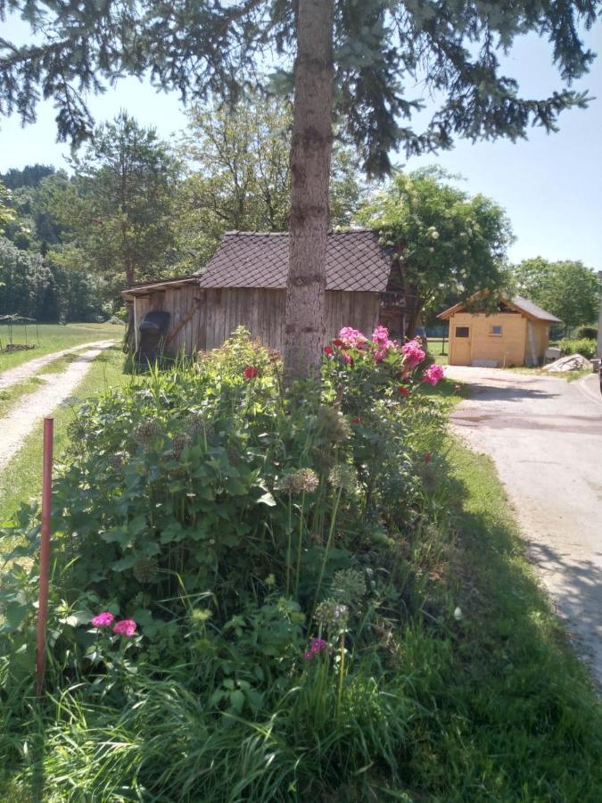 Sobe Zeleni Raj Apartment Podnart Exterior photo